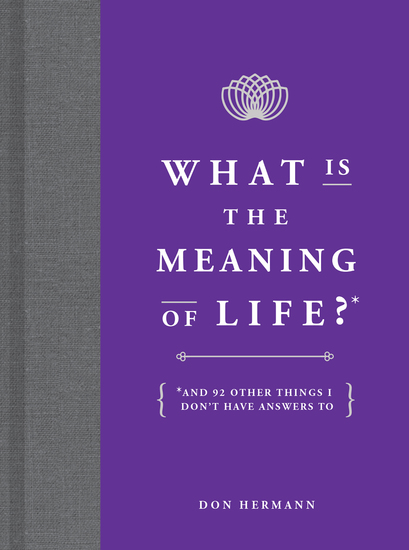 What Is the Meaning of Life? - And 92 Other Things I Don't Have Answers To - cover