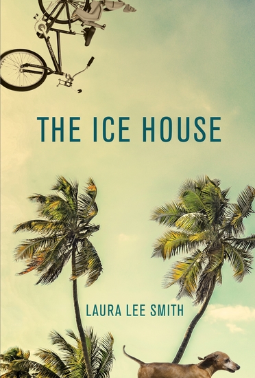 The Ice House - cover