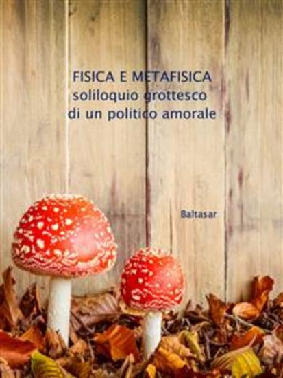 fisica e metafisica - soliloquio grottesco di un politico amorale - cover