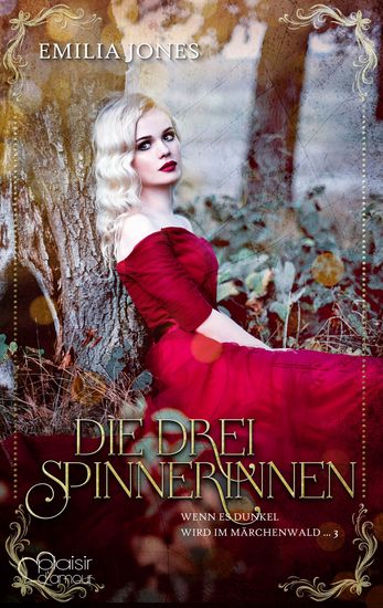 Wenn es dunkel wird im Märchenwald : Die drei Spinnerinnen - cover