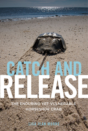 Catch and Release - The Enduring Yet Vulnerable Horseshoe Crab - cover