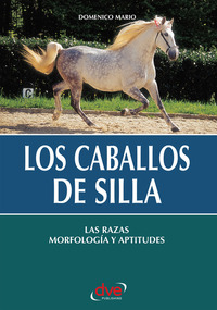 Los caballos de silla Las razas morfología y aptitudes