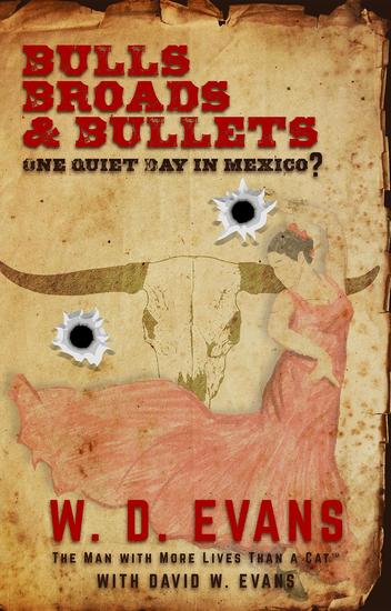 Bulls Broads & Bullets - One Quiet Day in Mexico? - cover