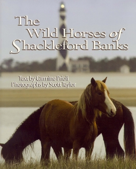 Wild Horses of Shackleford Banks - cover