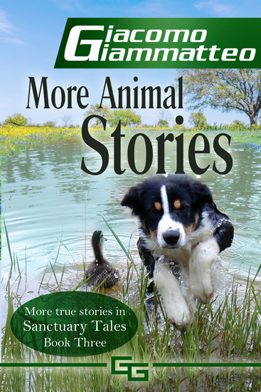 More Animal Stories - Sanctuary Tales Volume III - cover