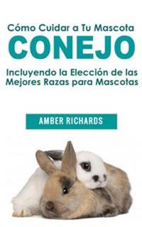 Cómo Cuidar A Tu Mascota Conejo