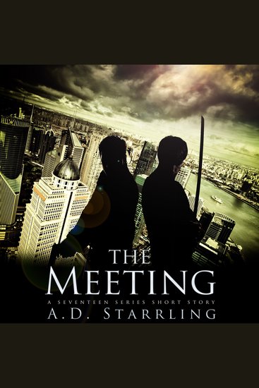 The Meeting - A Seventeen Series Short Story - cover