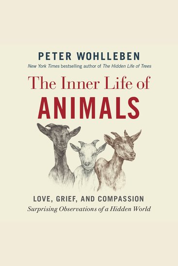 The Inner Life of Animals - Love Grief and Compassion: Surprising Observations of a Hidden World - cover