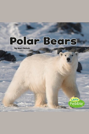 Polar Bears - cover