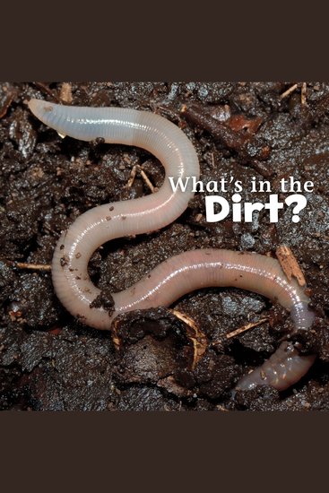 What's in the Dirt? - cover