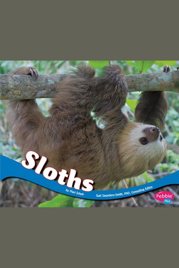 Sloths - cover