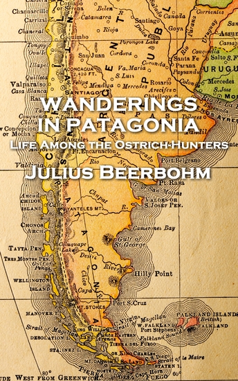 Wanderings in Patagonia - cover