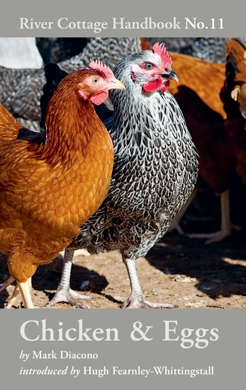 Chicken & Eggs - River Cottage Handbook No11 - cover