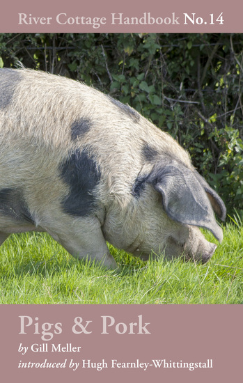 Pigs & Pork - River Cottage Handbook No14 - cover