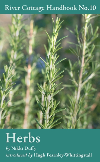 Herbs - River Cottage Handbook No10 - cover