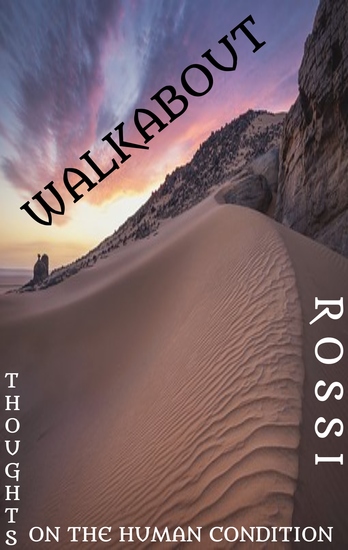 Walkabout - Thoughts on the Human Condition - cover