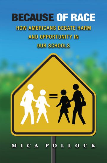 Because of Race - How Americans Debate Harm and Opportunity in Our Schools - cover