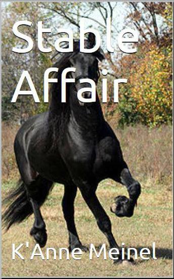 Stable Affair - cover