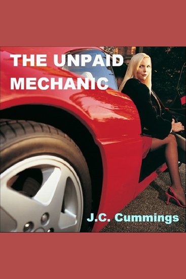 The Unpaid Mechanic - cover