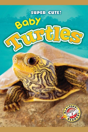 Baby Turtles - cover