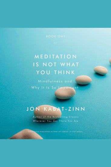 Meditation Is Not What You Think - Mindfulness and Why It Is So Important - cover