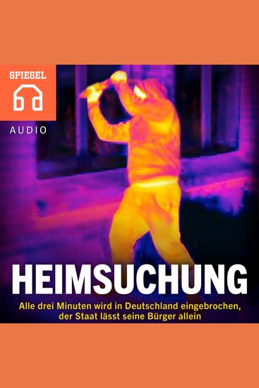 Heimsuchung - Einbrüche in Deutschland - Alle drei Minuten wird in Deutschland eingebrochen der Staat lässt seine Bürger allein - cover