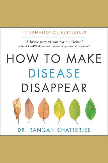 How to Make Disease Disappear - cover