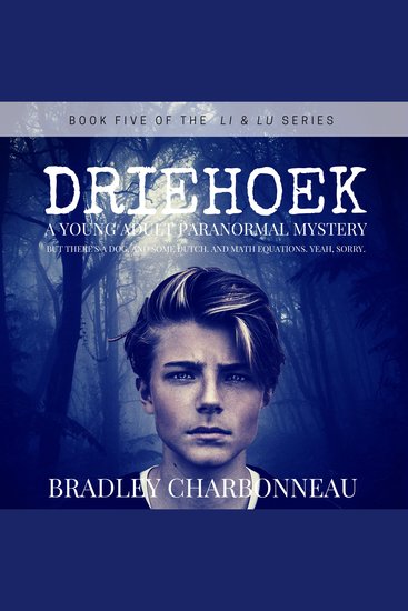 Driehoek - A Young Adult Paranormal Mystery - cover