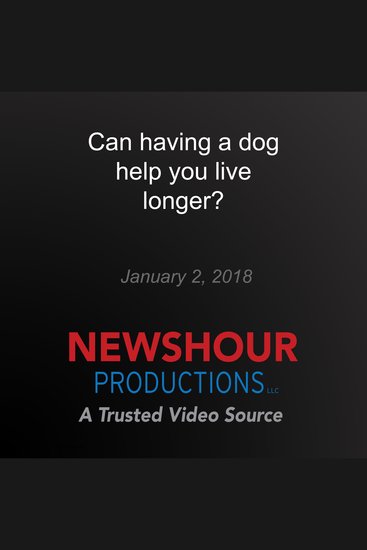 Can having a dog help you live longer? - cover