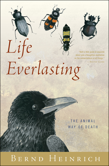 Life Everlasting - The Animal Way of Death - cover