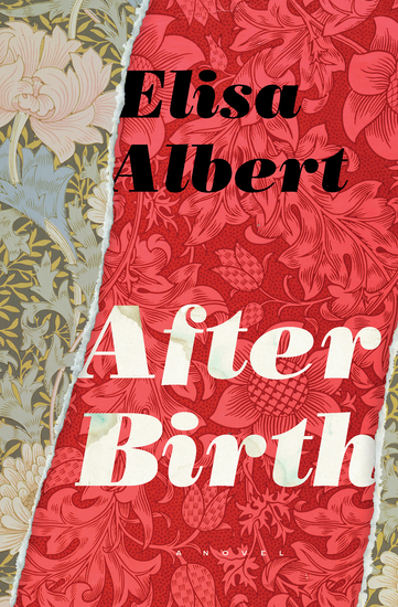 After Birth - A Novel - cover