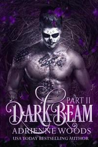 Darkbeam Part II - Beam Series #3