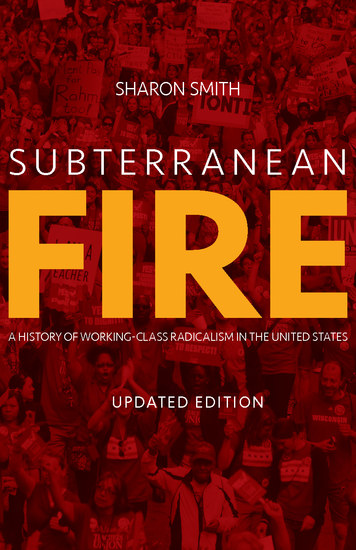 Subterranean Fire (Updated Edition) - A History of Working-Class Radicalism in the United States - cover