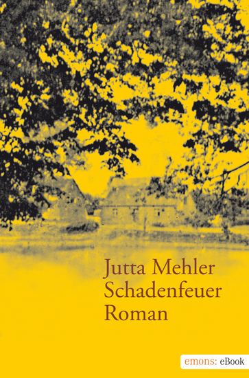Schadenfeuer - Roman - cover