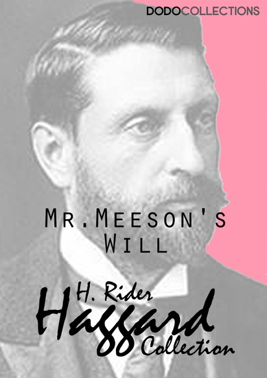 Mr Meeson's Will - cover