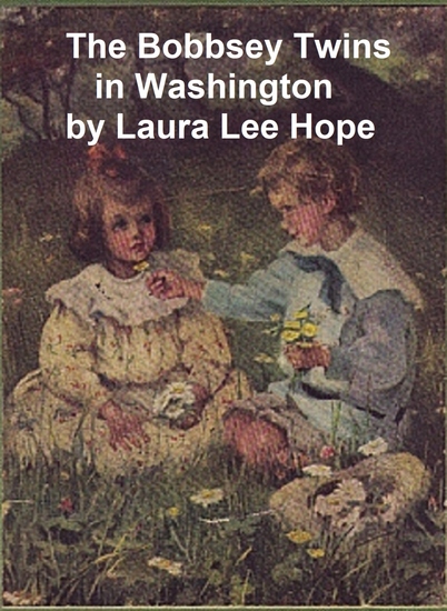 The Bobbsey Twins in Washington - cover