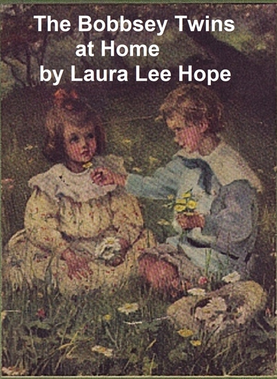 The Bobbsey Twins at Home - cover