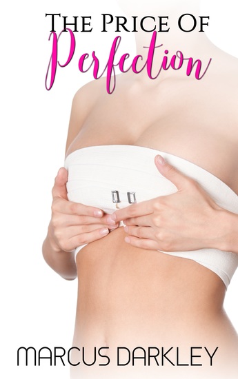 The Price of Perfection - cover