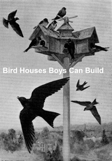 Bird Houses Boys Can Build - cover