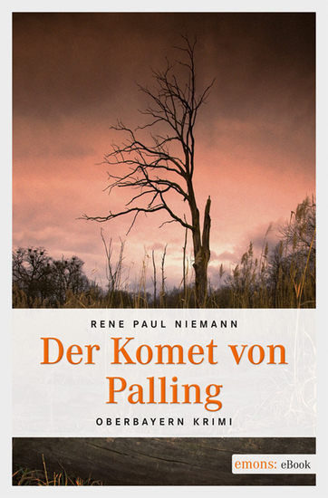 Der Komet von Palling - cover