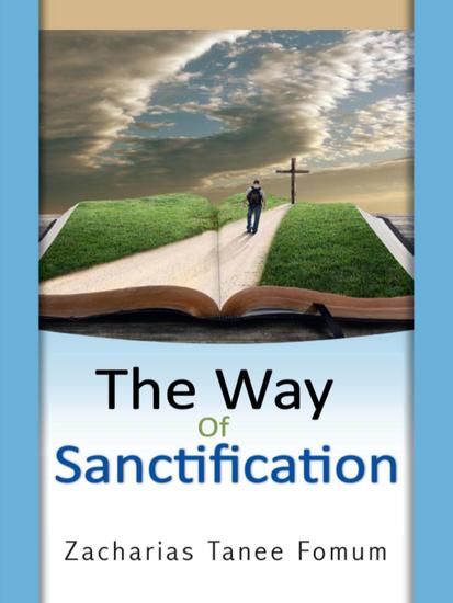 The Way of Sanctification - The Christian Way #4 - cover