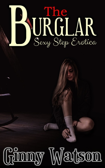 The Burglar - cover