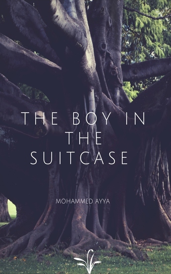 The Boy In The Suitcase - cover