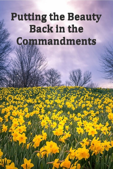 Putting the Beauty Back in the Commandments - cover