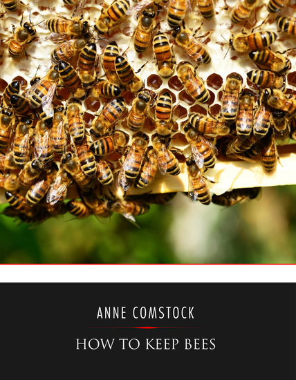How to Keep Bees - cover