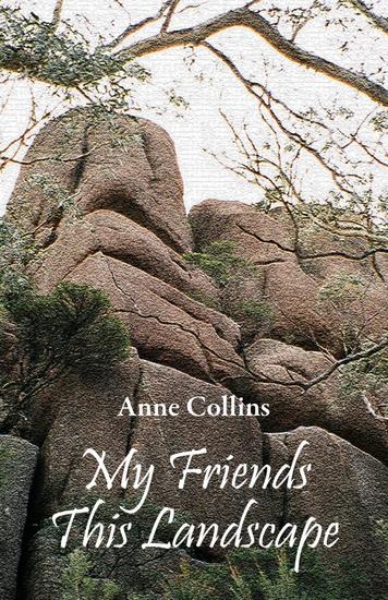 My Friends This Landscape - cover