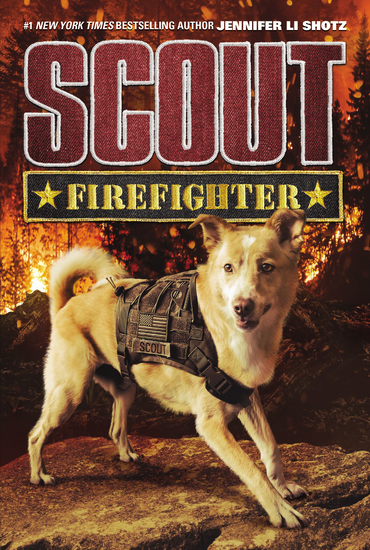 Scout: Firefighter - cover