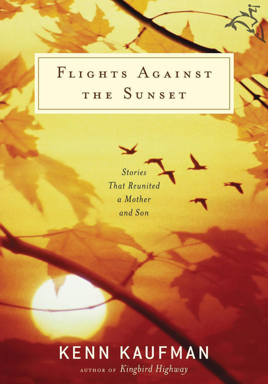 Flights Against the Sunset - Stories that Reunited a Mother and Son - cover
