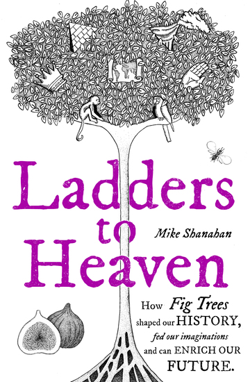 Ladders to Heaven - cover