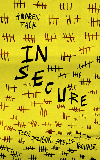 In Secure - cover